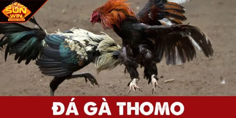 Tiếp cận dễ dàng thuận lợi cho mọi hội viên tham gia